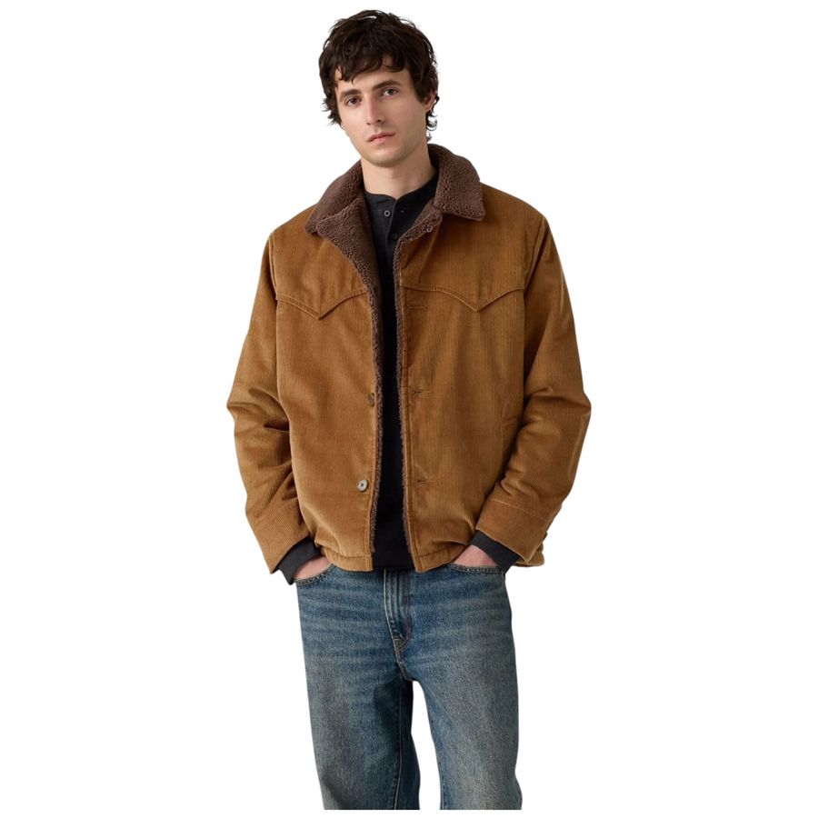  Levis | 003GP/0000BISON